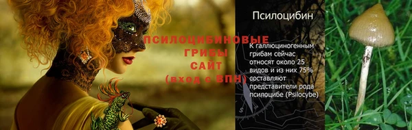 молекула духа Нефтекумск