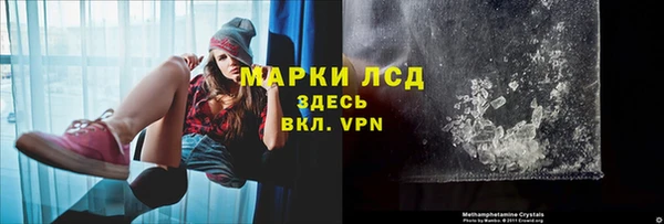 прущие грибы Новокубанск