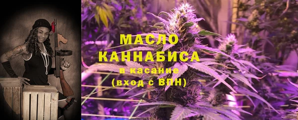 2c-b Новозыбков