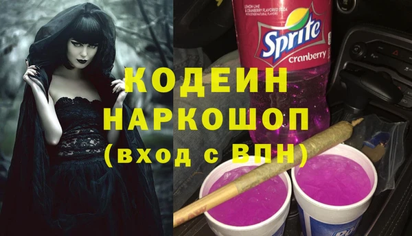 первитин Анива