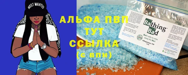 молекула духа Нефтекумск