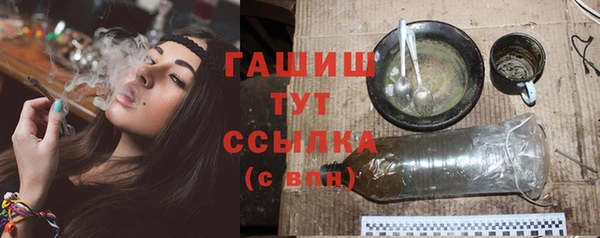 2c-b Новозыбков