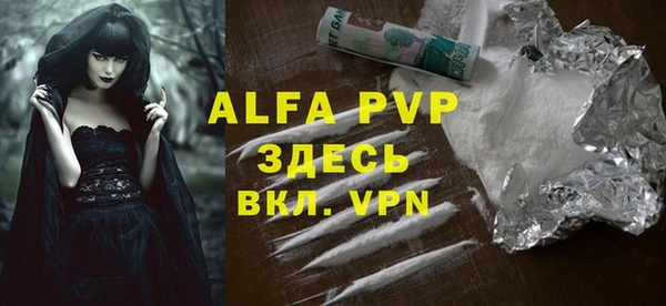 прущие грибы Новокубанск