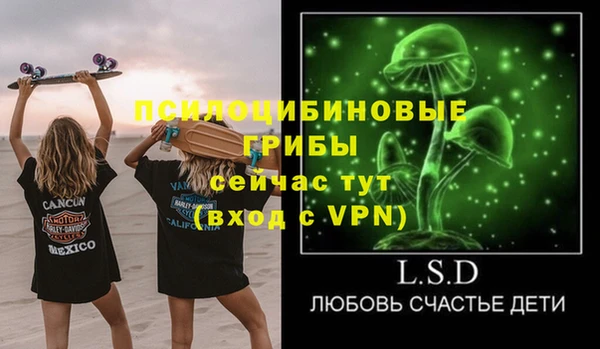 молекула духа Нефтекумск