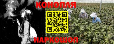 мяу мяу мука Гусиноозёрск