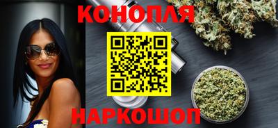 крисы Кингисепп