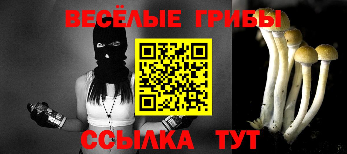 Псилоцибиновые грибы мухоморы Клин