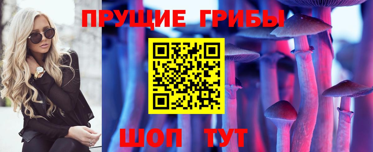 Галлюциногенные грибы Psilocybine cubensis  Вход с VPN  Клин 